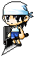 Codester